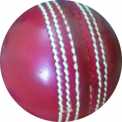 Cricket Hard Ball